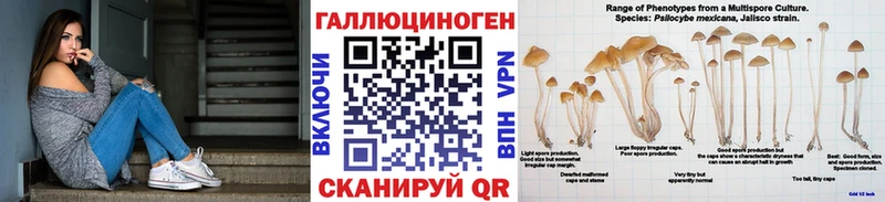 наркотики  Вельск  Псилоцибиновые грибы ЛСД 